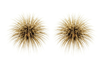 Obraz premium isolated dual bursts of photorealistic gold glitter fireworks, ultra-detailed metallic sparks frozen against a transparent cyclorama background with copy space. Concept for luxury celebration