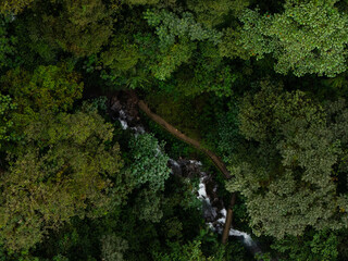 Aerial View of Jungle Footbridge Over River in Cloud Forest