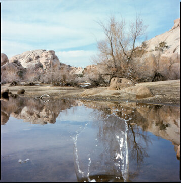 Water splash in desert pool at Joshua Tree