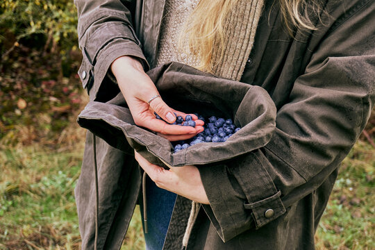 Blonde woman throwing harvested sloes into a waxed hood with her hand