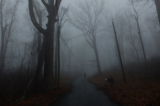 running into foggy woods