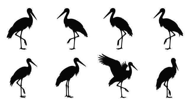 A collection of stork shapes in varying poses a striking silhouette