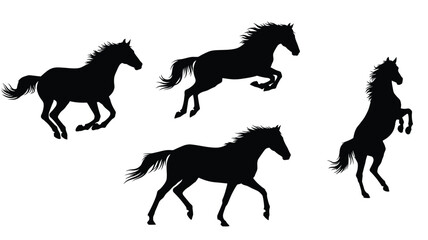 Dynamic horses in motion a striking collection of equine forms silhouette © MdGolam