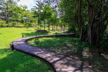 Wooden Boardwalk and trees in Jurong Lake Gardens, Singapore