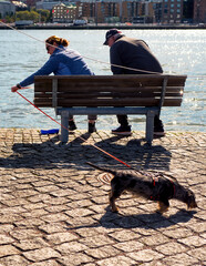 Different Point of Views