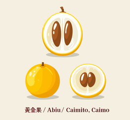 Abiu caimito star apple tropical exotic fruit illustration whole half slice yellow Asia sweet