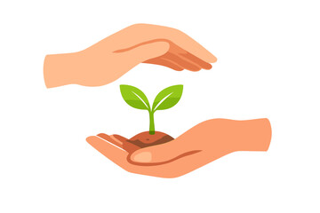 Hands protecting a sprouting plant