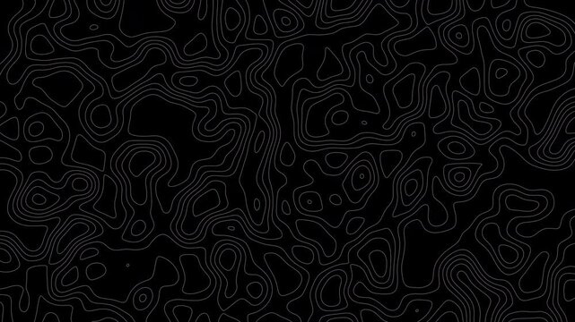 Minimal Topografi Relief Line Surface Animation