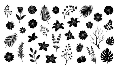 Decorative botanical symbol set black flowers exotic leaves and branches vector illustration © MDTAREK