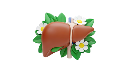 3D Cartoon Liver with Flowers and Leaves