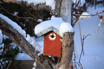 A nesting box covered in snow hangs from a fruit tree in the allotment garden.