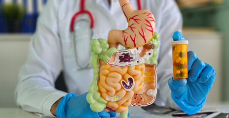 Doctor demonstrating digestive system model while holding a prescription bottle in a clinical...