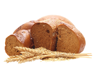 Fresh bread isolated
