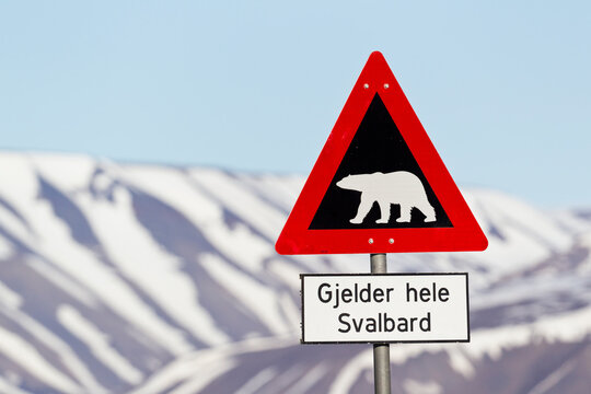 Warning road sign for polar bears in Svalbard with snowy mountain background