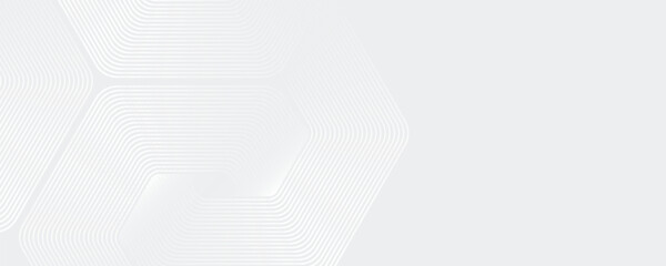 Hexagon white gray wave light technology texture background. Abstract big data digital concept simple art modern abstract