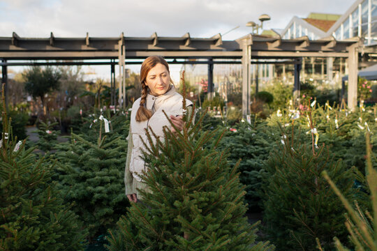 Woman choosing Christmas tree at spruce farm outdoors in winter