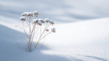 minimal winter background soft light white snow clean composition