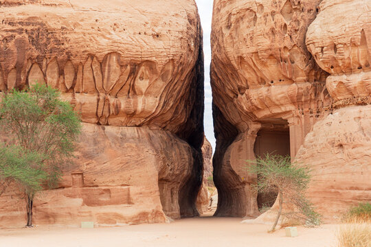 Hegra in Saudi Arabia. Narrow desert canyon between two rock walls with ancient doorways and sparse trees