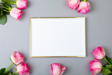Overhead view of fresh pink roses and blank frame isolated on gray background, copy space
