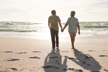 Rear view of senior multiracial couple holding hands walking towards sea at beach with footprints