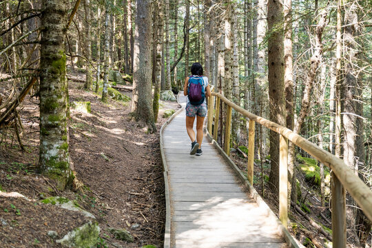 Woman walking on wooden path through peaceful forest