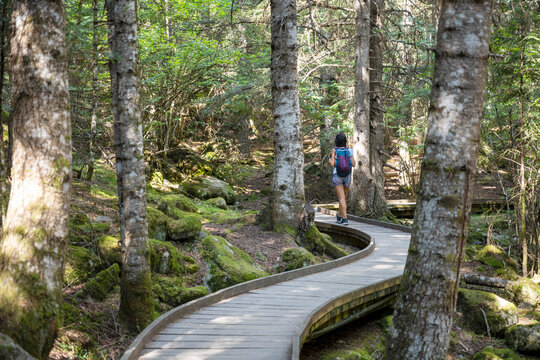 Woman walking on wooden path through peaceful forest