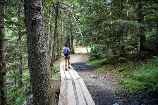 Woman walking on wooden path through peaceful forest
