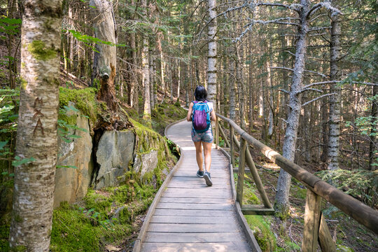 Woman hiking across wooden bridge in green forest trail