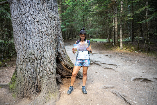 Woman reading map while hiking in forest trail outdoors