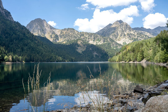 Mountain lake with forest and peaks reflected in calm water