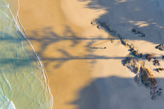 Aerial view of a person walking on a sandy beach between long tree shadows and a rock ledge