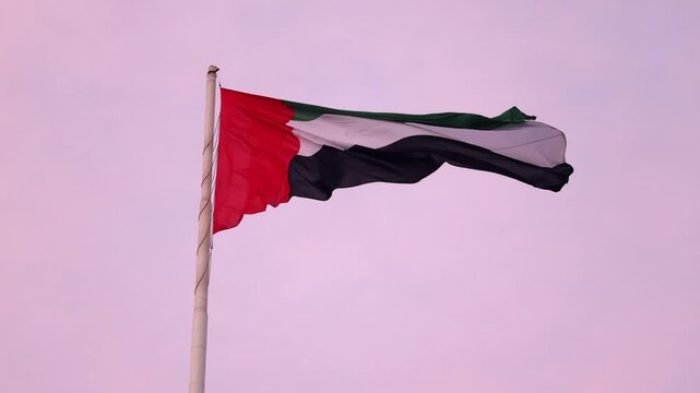 National symbol of UAE, flag waving in the sunset sky