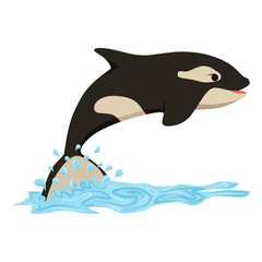 Cartoon killer whale orca vector illustration