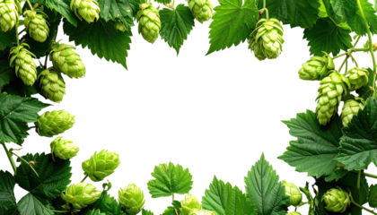 A border of green hop cones and leaves frames a black void, creating a space for text. Realistic and detailed