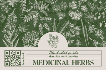 Medicinal plants and herbs banner © Marina Gorskaya