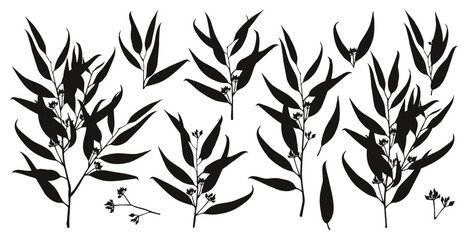 Eucalyptus branches silhouettes collection vector