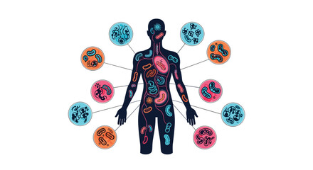 Medical illustration of a human body silhouette showing internal gut microbiota and various types of bacteria for health and science.