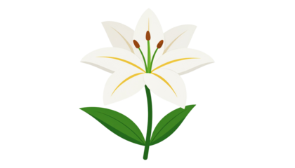 white lily flower isolated on transparent background, symbol of Easter
