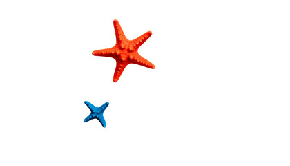 Obraz premium A tropical marine starfish and a delicate seashell are isolated on white beach sand, capturing a peaceful summer nature scene of ocean life for a spa or travel vacation