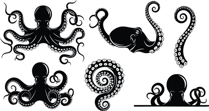 Black octopus vector art showing variety of tentacles and heads in different curled positions with detailed suckers and isolated on white background with simple flat design