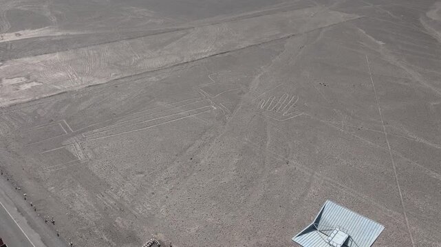 AERIAL of the Lizard (Nasca lines) in Peru