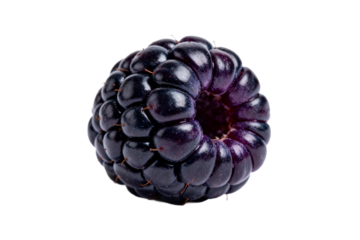 Fresh Blackberry Fruit with Deep Purple Color