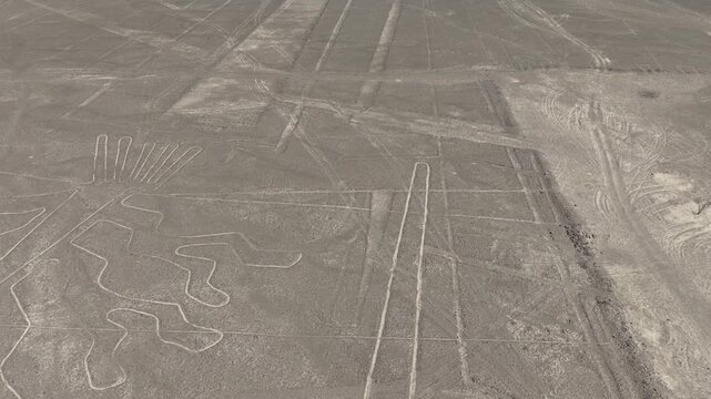 Aerial - Nasca lines (Tree) in the desert of Peru