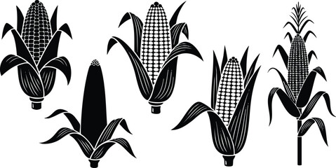 Fototapeta premium Black silhouette vector art showing five different corn cobs with husks in various views including close up front and side angles against white background