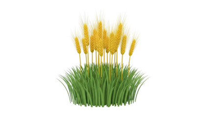 Wheat Stalks and Green Grass