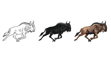 Fototapeta premium Set of three illustrations of a running wildebeest outline, silhouette and full color drawing of african antelope