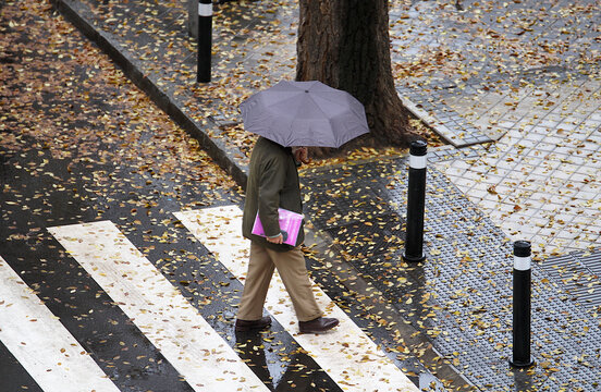 Persona con paraguas cruzando la calle por paso de cebra en d&iacute;a de lluvia