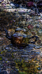 water flowing into the water