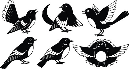 Obraz premium Black and white vector art of six birds in various poses including flying standing and singing detailed wing feathers isolated on white background with symmetrical decorative element