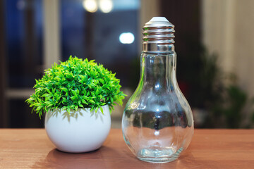 Light bulb and house plant on a wooden shelf.